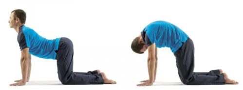 back exercises for men over 50