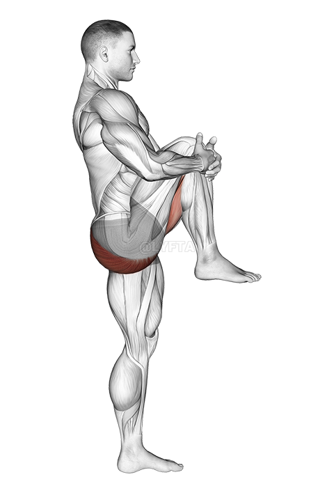 standing knee to chest